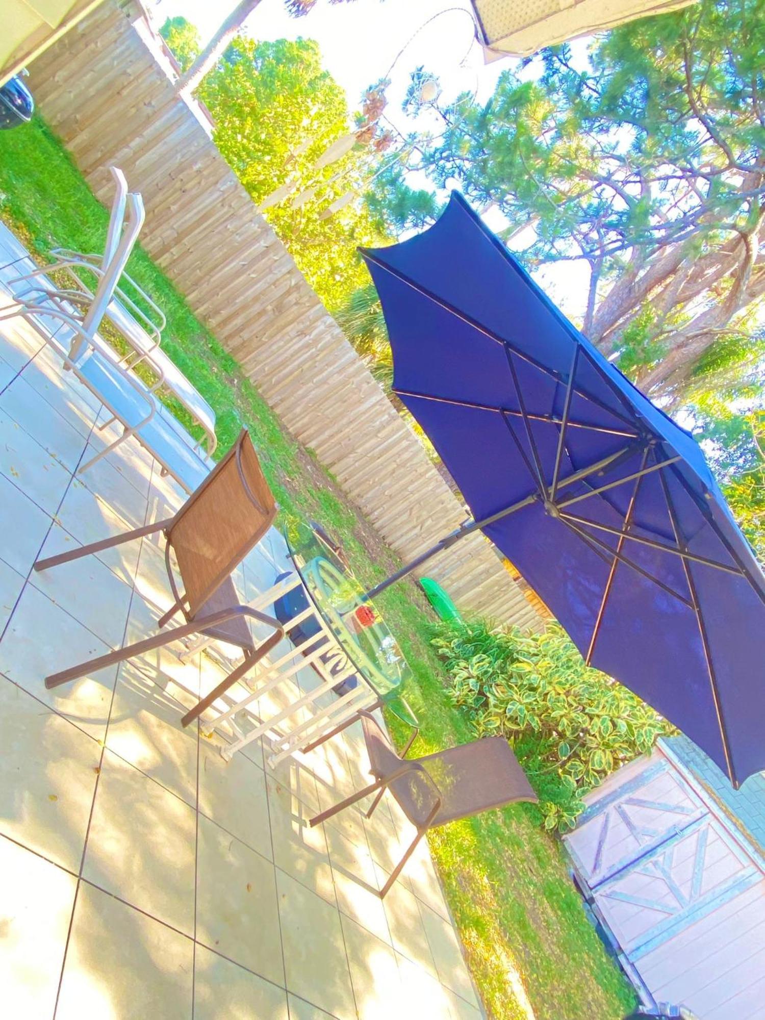 Cozy Studio Only 10 Minutes By Car Of Siesta Key Sarasota Ngoại thất bức ảnh